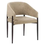 Eetkamerstoel Bret velvet 2